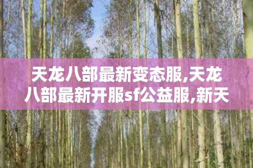 天龙八部最新变态服,天龙八部最新开服sf公益服,新天龙私服网站,天龙八部最新开服sf公益服