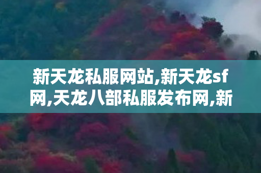 新天龙私服网站,新天龙sf网,天龙八部私服发布网,新天龙sf网