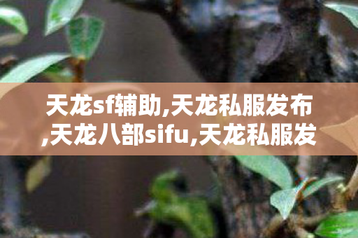 天龙sf辅助,天龙私服发布,天龙八部sifu,天龙私服发布