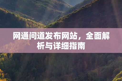 网通问道发布网站，全面解析与详细指南