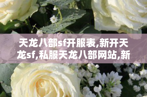 天龙八部sf开服表,新开天龙sf,私服天龙八部网站,新开天龙sf
