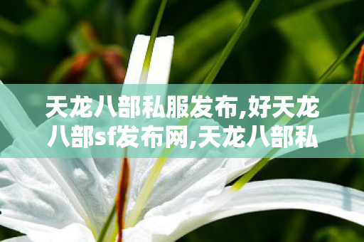 天龙八部私服发布,好天龙八部sf发布网,天龙八部私服网站发布网,好天龙八部sf发布网