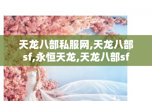 天龙八部私服网,天龙八部sf,永恒天龙,天龙八部sf