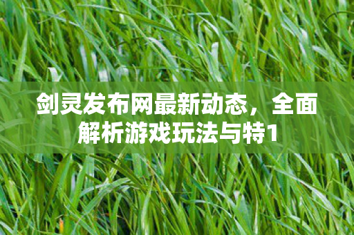 剑灵发布网最新动态，全面解析游戏玩法与特1