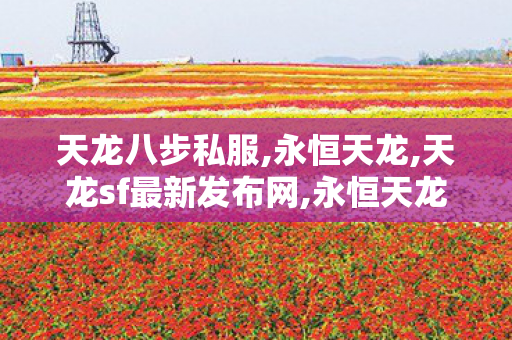 天龙八步私服,永恒天龙,天龙sf最新发布网,永恒天龙