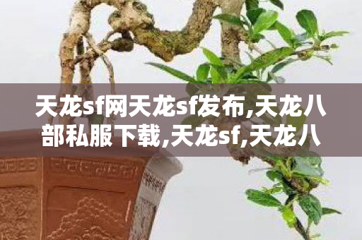 天龙sf网天龙sf发布,天龙八部私服下载,天龙sf,天龙八部私服下载