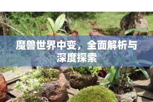 魔兽世界中变，全面解析与深度探索