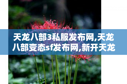 天龙八部3私服发布网,天龙八部变态sf发布网,新开天龙sf发布,天龙八部变态sf发布网