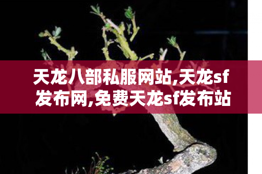 天龙八部私服网站,天龙sf 发布网,免费天龙sf发布站,天龙sf 发布网