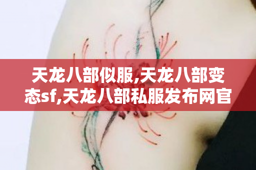天龙八部似服,天龙八部变态sf,天龙八部私服发布网官方最新版,天龙八部变态sf