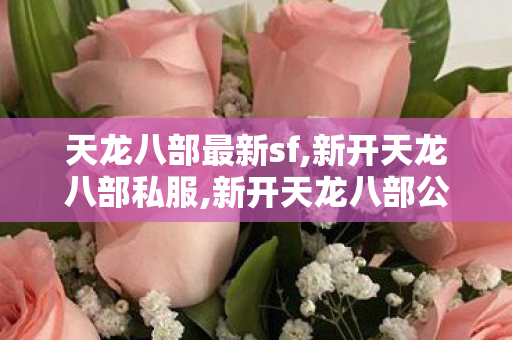 天龙八部最新sf,新开天龙八部私服,新开天龙八部公益服发布网,新开天龙八部私服