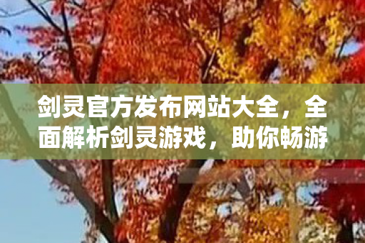 剑灵官方发布网站大全，全面解析剑灵游戏，助你畅游仙侠世界