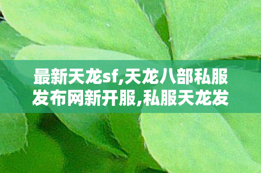 最新天龙sf,天龙八部私服发布网新开服,私服天龙发布网,天龙八部私服发布网新开服