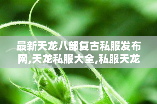最新天龙八部复古私服发布网,天龙私服大全,私服天龙,天龙私服大全