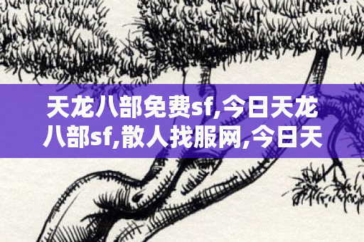 天龙八部免费sf,今日天龙八部sf,散人找服网,今日天龙八部sf