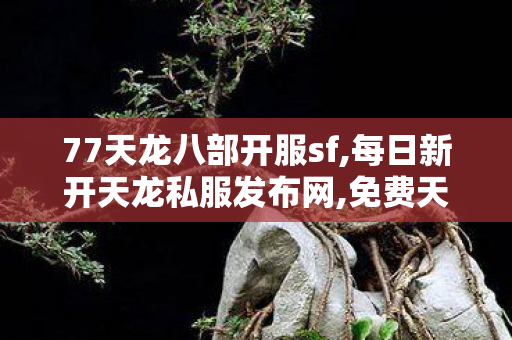 77天龙八部开服sf,每日新开天龙私服发布网,免费天龙八部sf发布网,每日新开天龙私服发布网