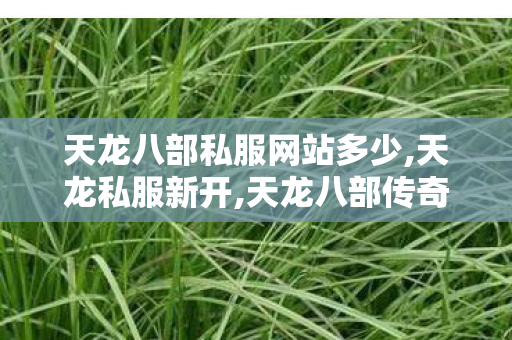 天龙八部私服网站多少,天龙私服新开,天龙八部传奇私服,天龙私服新开