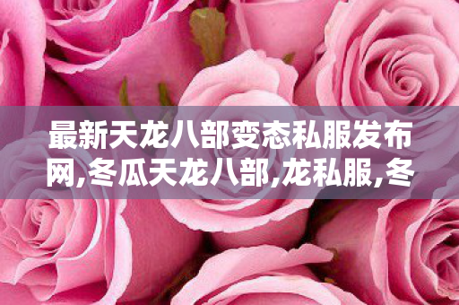 最新天龙八部变态私服发布网,冬瓜天龙八部,龙私服,冬瓜天龙八部