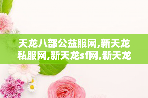 天龙八部公益服网,新天龙私服网,新天龙sf网,新天龙私服网