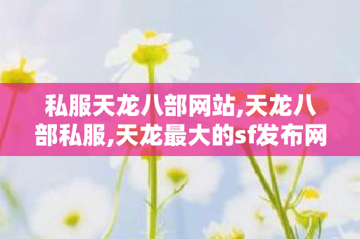 私服天龙八部网站,天龙八部私服,天龙最大的sf发布网,天龙八部私服