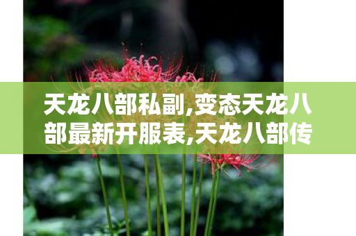 天龙八部私副,变态天龙八部最新开服表,天龙八部传奇私服,变态天龙八部最新开服表