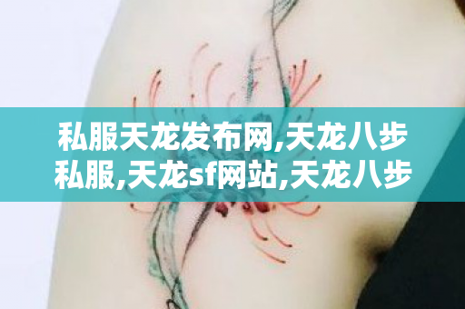 私服天龙发布网,天龙八步私服,天龙sf网站,天龙八步私服