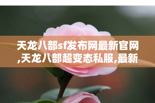 天龙八部sf发布网最新官网,天龙八部超变态私服,最新天龙私服,天龙八部超变态私服