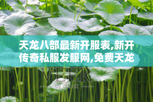 天龙八部最新开服表,新开传奇私服发服网,免费天龙八部公益服发布网,新开传奇私服发服网