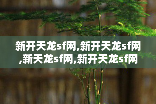 新开天龙sf网,新开天龙sf网,新天龙sf网,新开天龙sf网