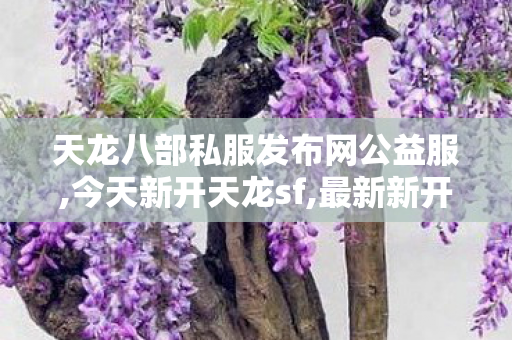 天龙八部私服发布网公益服,今天新开天龙sf,最新新开天龙八部sf,今天新开天龙sf
