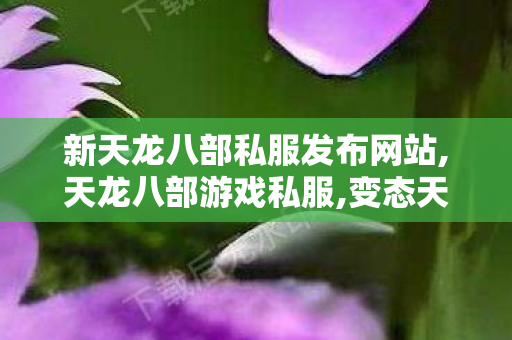 新天龙八部私服发布网站,天龙八部游戏私服,变态天龙八部,天龙八部游戏私服