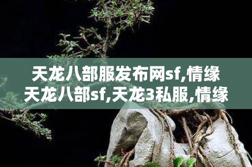 天龙八部服发布网sf,情缘天龙八部sf,天龙3私服,情缘天龙八部sf