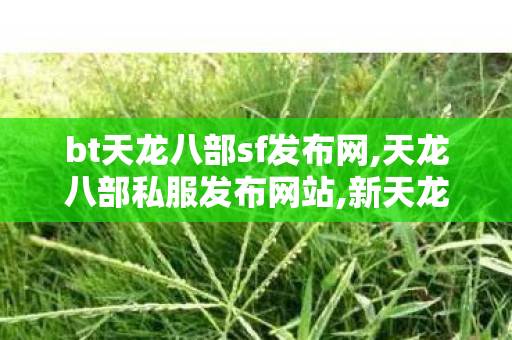 bt天龙八部sf发布网,天龙八部私服发布网站,新天龙八部sf发布,天龙八部私服发布网站