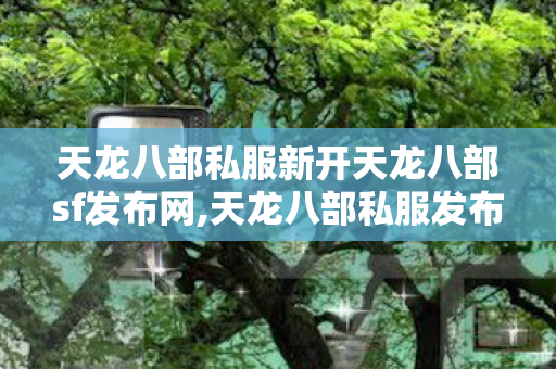 天龙八部私服新开天龙八部sf发布网,天龙八部私服发布网长久的,天龙sf 发布网,天龙八部私服发布网长久的