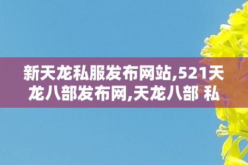 新天龙私服发布网站,521天龙八部发布网,天龙八部 私服,521天龙八部发布网