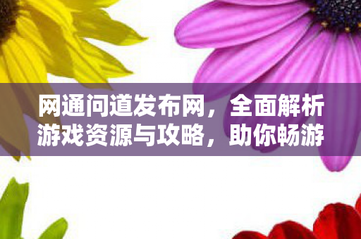网通问道发布网，全面解析游戏资源与攻略，助你畅游问道世界