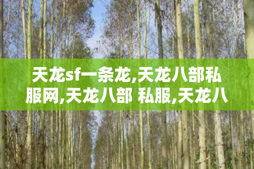 天龙sf一条龙,天龙八部私服网,天龙八部 私服,天龙八部私服网