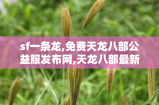 sf一条龙,免费天龙八部公益服发布网,天龙八部最新开服私服,免费天龙八部公益服发布网