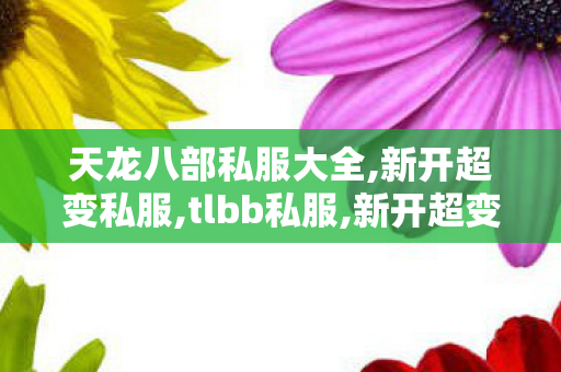 天龙八部私服大全,新开超变私服,tlbb私服,新开超变私服
