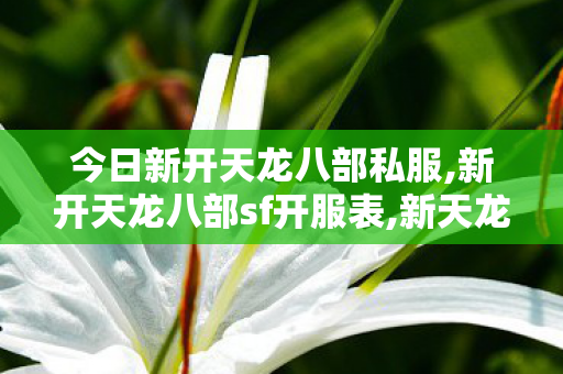 今日新开天龙八部私服,新开天龙八部sf开服表,新天龙3私服,新开天龙八部sf开服表