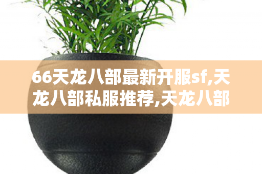 66天龙八部最新开服sf,天龙八部私服推荐,天龙八部 私服发布网,天龙八部私服推荐