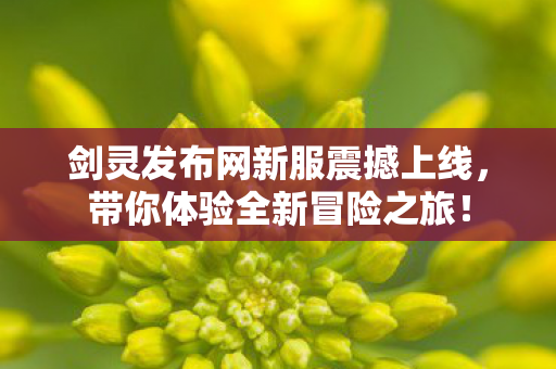 剑灵发布网新服震撼上线，带你体验全新冒险之旅！