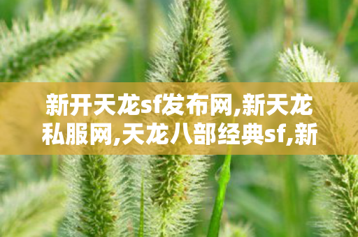新开天龙sf发布网,新天龙私服网,天龙八部经典sf,新天龙私服网