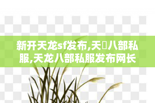 新开天龙sf发布,天龍八部私服,天龙八部私服发布网长久的,天龍八部私服