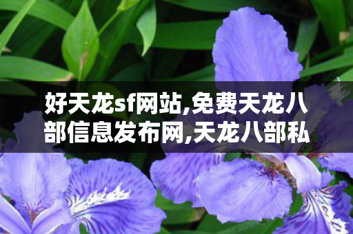 好天龙sf网站,免费天龙八部信息发布网,天龙八部私服发布网长久的,免费天龙八部信息发布网