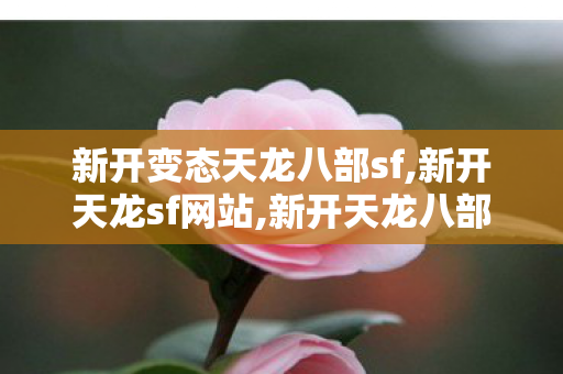 新开变态天龙八部sf,新开天龙sf网站,新开天龙八部发布网,新开天龙sf网站