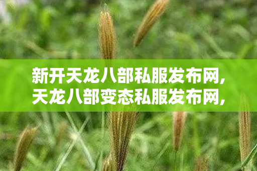 新开天龙八部私服发布网,天龙八部变态私服发布网,天龙八部新开私服,天龙八部变态私服发布网