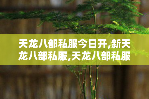 天龙八部私服今日开,新天龙八部私服,天龙八部私服66发布网,新天龙八部私服