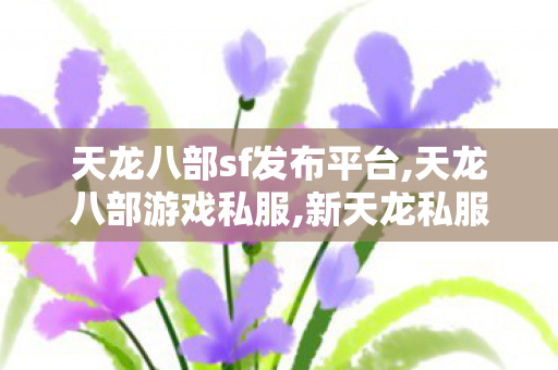 天龙八部sf发布平台,天龙八部游戏私服,新天龙私服发布网站,天龙八部游戏私服