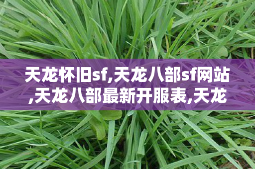 天龙怀旧sf,天龙八部sf网站,天龙八部最新开服表,天龙八部sf网站
